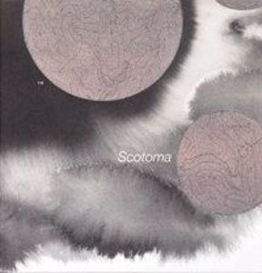 Picture of Scotoma
