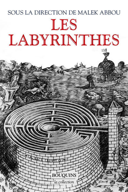 Picture of Les labyrinthes
